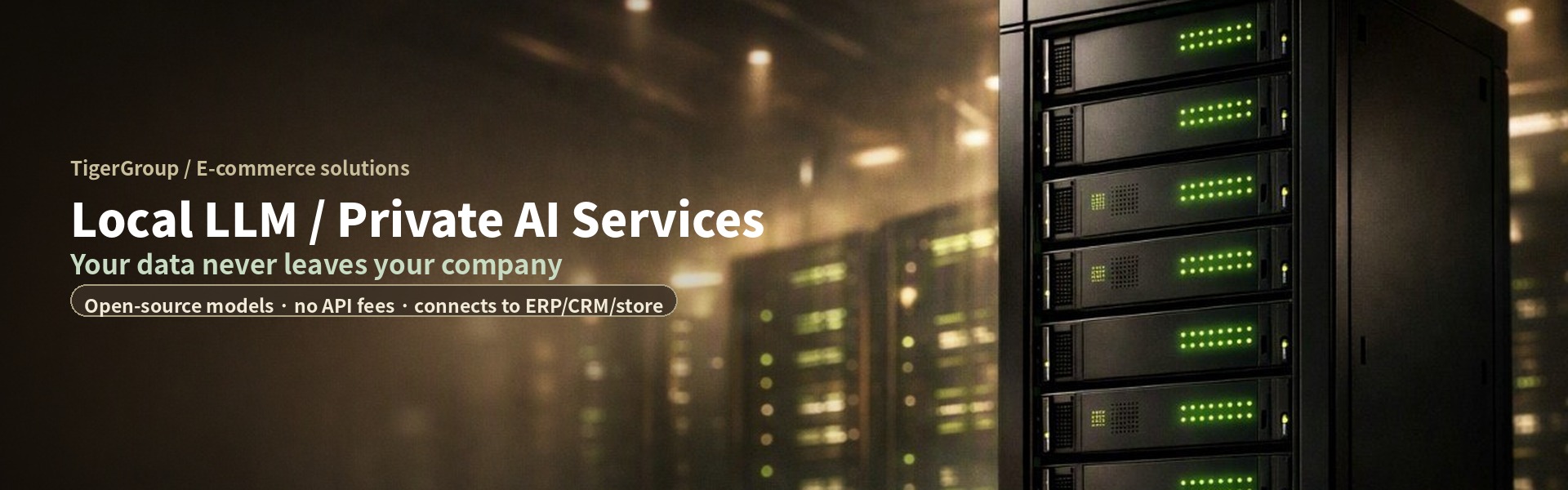 Local LLM / Private AI Services — your data never leaves your company